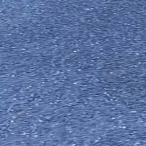 Meet your Posher, Bella